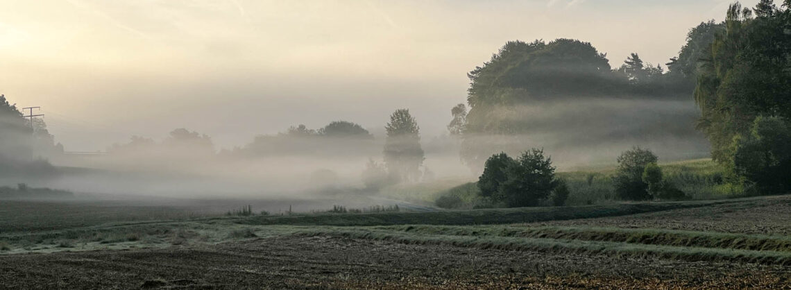 Wolfsland Veldensteiner Forst