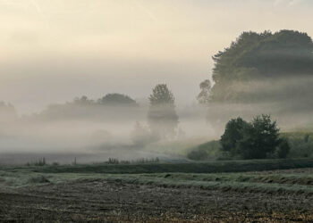 Wolfsland Veldensteiner Forst
